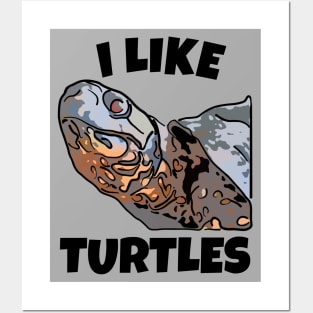 I Like Turtles Posters and Art